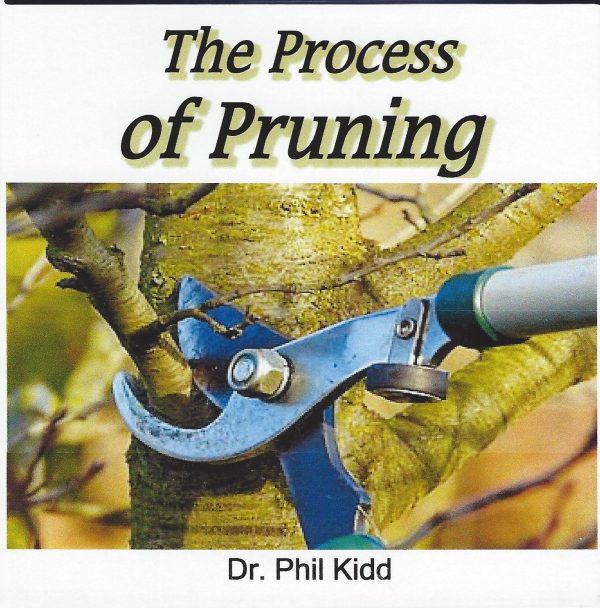 The Process of Pruning